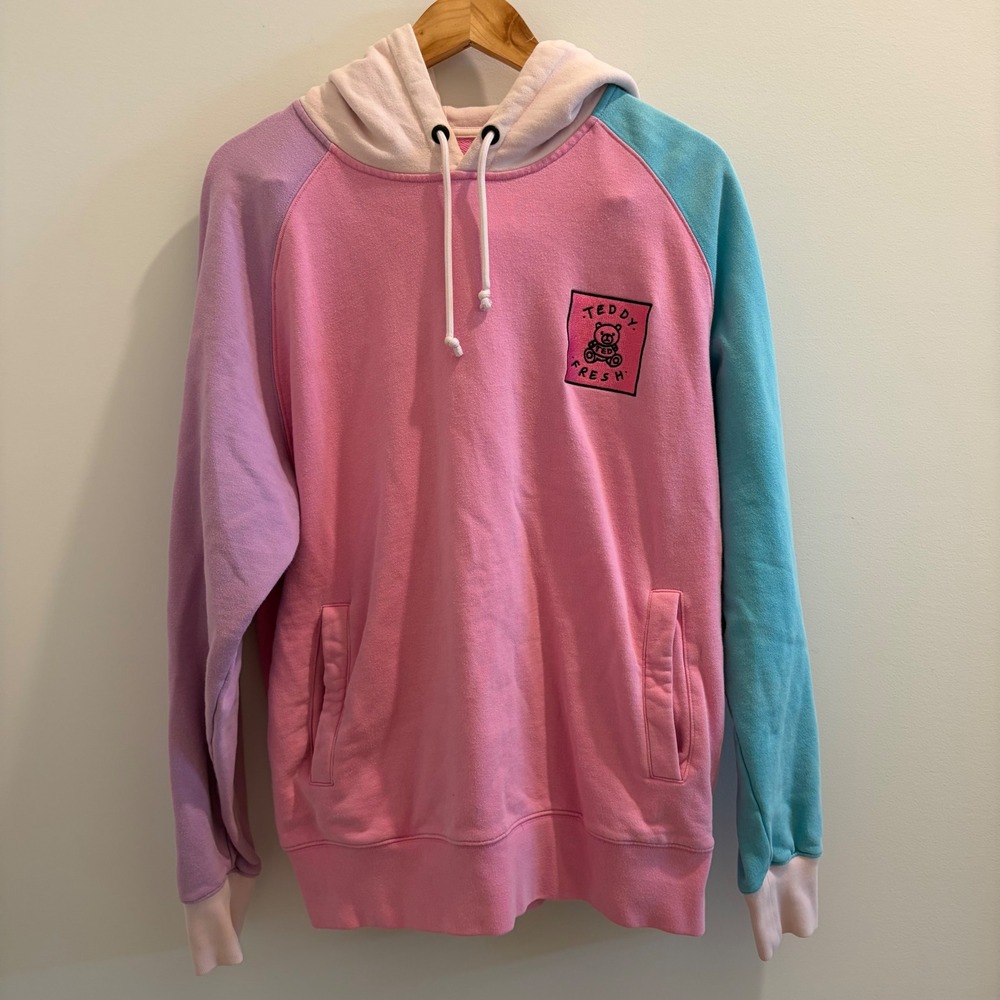 Teddy Fresh Colorblock Hoodie Pastel Pink Blue Purple Embroidered Bear Large